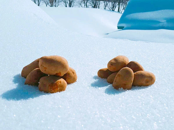 雪室じゃがいも 6種(2個口)